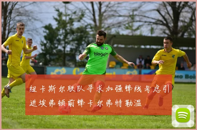 纽卡斯尔联队寻求加强锋线考虑引进埃弗顿前锋卡尔弗特勒温