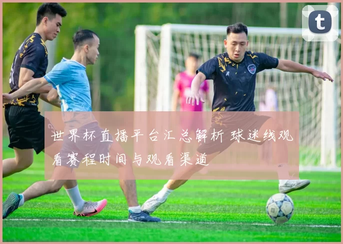 世界杯直播平台汇总解析 球迷线观看赛程时间与观看渠道